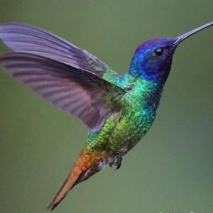 Meet your Posher, Elle